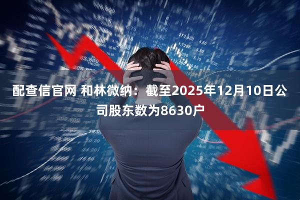 配查信官网 和林微纳：截至2025年12月10日公司股东数为8630户