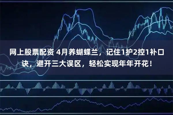 网上股票配资 4月养蝴蝶兰，记住1护2控1补口诀，避开三大误区，轻松实现年年开花！