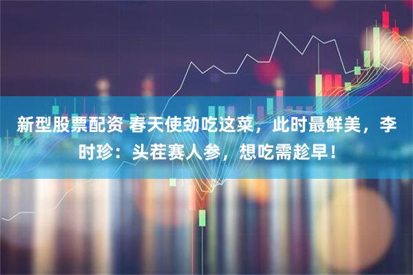 新型股票配资 春天使劲吃这菜，此时最鲜美，李时珍：头茬赛人参，想吃需趁早！
